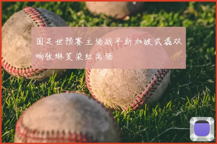 国足世预赛主场战平新加坡武磊双响张琳芰染红离场