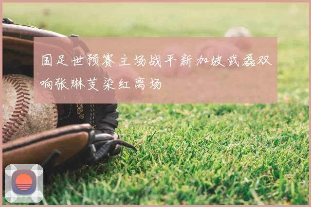 国足世预赛主场战平新加坡武磊双响张琳芰染红离场