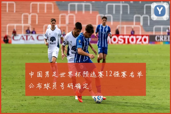 中国男足世界杯预选赛12强赛名单公布球员号码确定