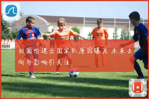 刘国伦退出国家队原因曝光 未来去向与影响引关注